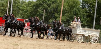 Murray County Draft Horse Show Celebrates 10th Anniversary